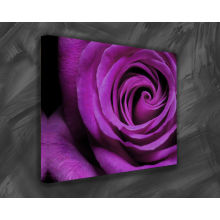 High Quality Rose Canvas Painting on Canvas